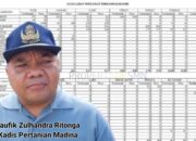 4.498,78 Ha Lahan Pertanian Terdampak Banjir Dan Tanah Longsor Madina