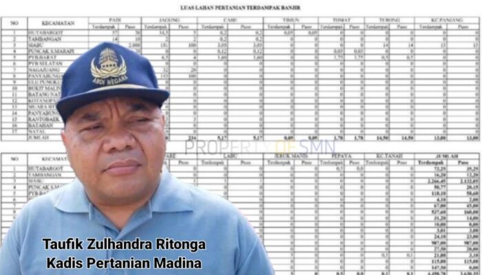 4.498,78 Ha Lahan Pertanian Terdampak Banjir Dan Tanah Longsor Madina