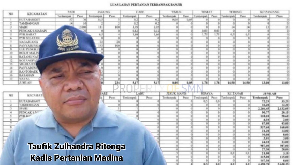 4.498,78 Ha Lahan Pertanian Terdampak Banjir Dan Tanah Longsor Madina