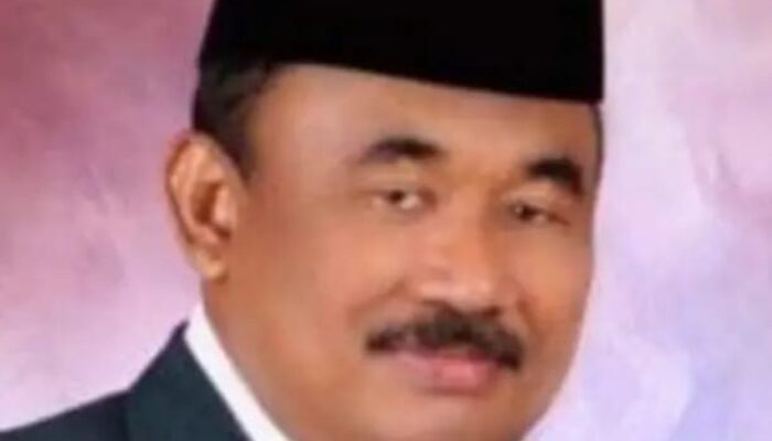 Reuni 212 Di Mata Ali Amran Tanjung, Wakil Ketua DPP PBB
