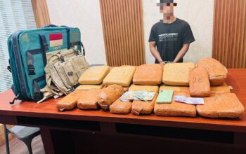 24,6 Kg Ganja Dalam Bus Travel Gagal Beredar, Satu Kurir Ditangkap