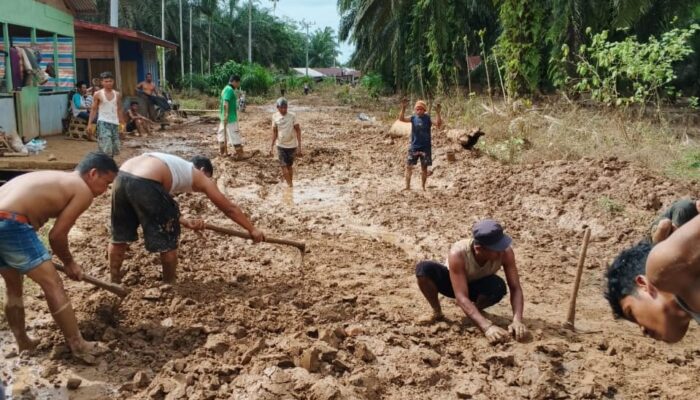 Akses Jalan Terputus, Korban Banjir Tapsel Bertahan Hidup Makan Ubi Dan Jagung
