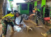 Yonif TP 857/GG Bersihkan Dayah Darul Jamil Al Zilzilah