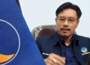 NasDem Desak APH Tangkap Perambah Hutan