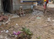 Penderitaan Baru Pasca Banjir Di Seuneubok Jalan