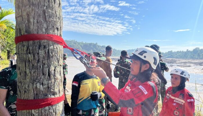 Relawan VRI Aceh Terjun Bantu Pemulihan Jaringan Listrik Di Bireuen