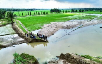 Dampak bencana hidrometeorologi yang melanda wilayah Sumatera Utara (Sumut) mendapat perhatian serius dari pemerintah pusat. Pada Minggu (7/12), sejumlah pejabat tinggi dari Kementerian Pertanian dan Badan Pangan Nasional (Bapanas) turun langsung meninjau lokasi terdampak banjir dan longsor guna memastikan langkah penanganan yang cepat dan tepat.