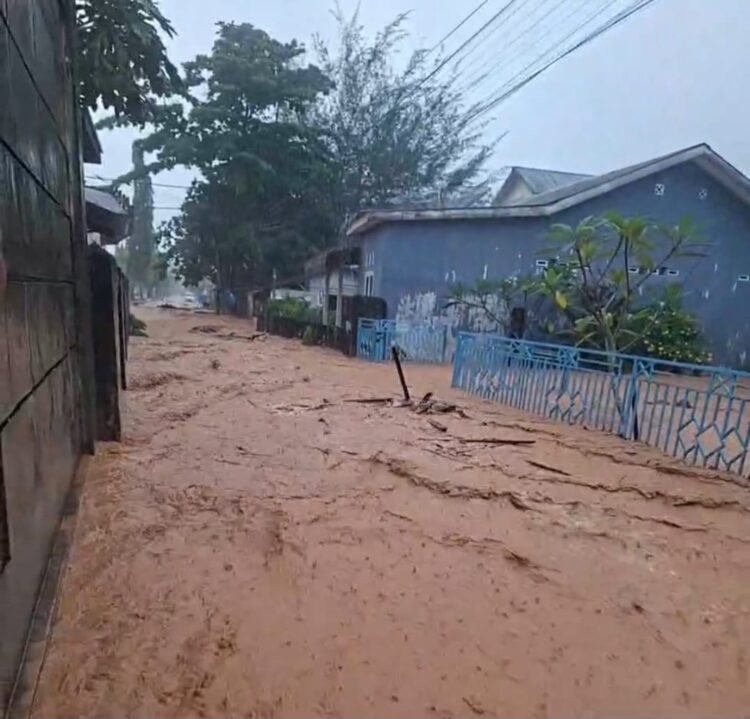 Sungai Aek Doras Meluap Rendam Permukiman Warga