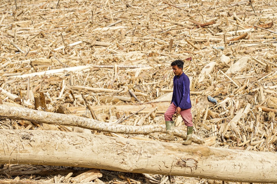 Banjir Bandang Dan Lautan Kayu Gelondongan: “Isi Rimba Tak Ada Tempat Berpijak Lagi”