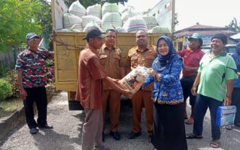 Pemprovsu Beri Bantuan Benih Padi Kepada Petani Pantai Labu Dan Batang Kuis Terdampak Banjir