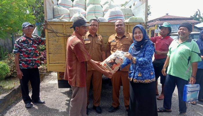 Pemprovsu Beri Bantuan Benih Padi Kepada Petani Pantai Labu Dan Batang Kuis Terdampak Banjir