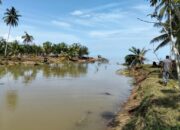 Pascabanjir, Muncul 5 Muara Baru Di Gampong Sawang Dan Blang Nibong Samudera