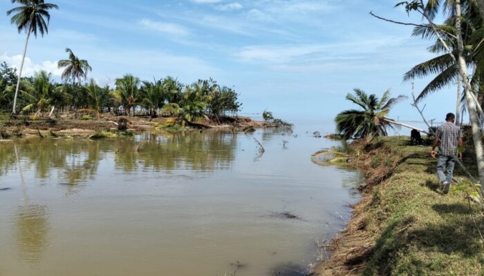 Pascabanjir, Muncul 5 Muara Baru Di Gampong Sawang Dan Blang Nibong Samudera
