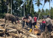 Empat Gajah Bersihkan Material Banjir Pidie Jaya