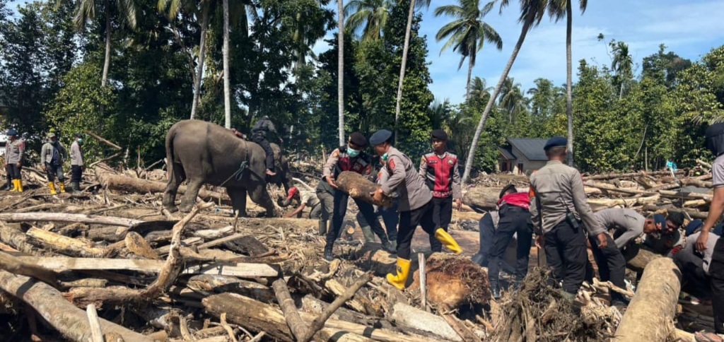 Empat Gajah Bersihkan Material Banjir Pidie Jaya