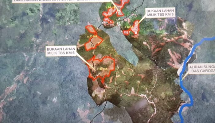 Mabes Polri Selidiki PT. TBS, Terduga Perusak LH Di Hulu Sungai Aek Garoga Tapsel