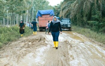 Prioritas Pemkab Madina Keselamatan Warga