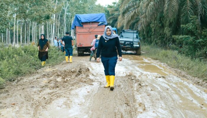 Prioritas Pemkab Madina Keselamatan Warga
