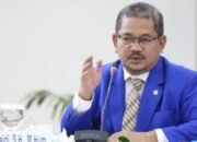 Ironi Penyebab Bencana