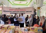 Ketua DWP Aceh Salurkan Bantuan Bagi Warga Terdampak Banjir Di Bireuen