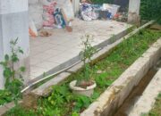 Tak Terawat, Tumpukan Sampah Dan Semak Menutupi Kantor PUPR Dairi