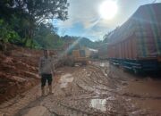 Update Terkini Bencana Taput, 36 Korban Meninggal, 2 Masih Hilang, 7 Desa Masih Akses Terbatas