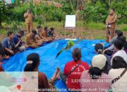 Dinas Pertanian Aceh Tenggara Gelar Sekolah Lapangan