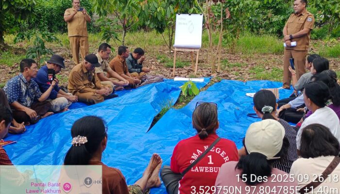 Dinas Pertanian Aceh Tenggara Gelar Sekolah Lapangan