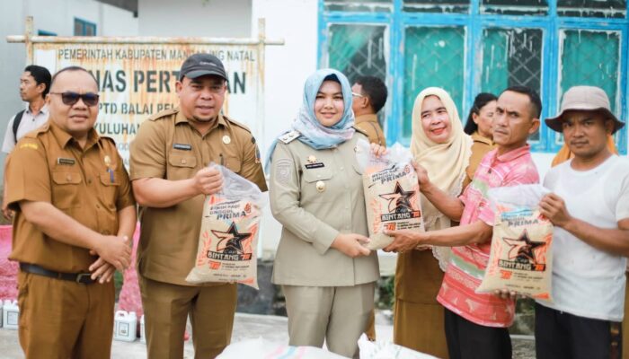 Wabup Madina Salurkan Benih Cabai Dan Padi kepada Poktan