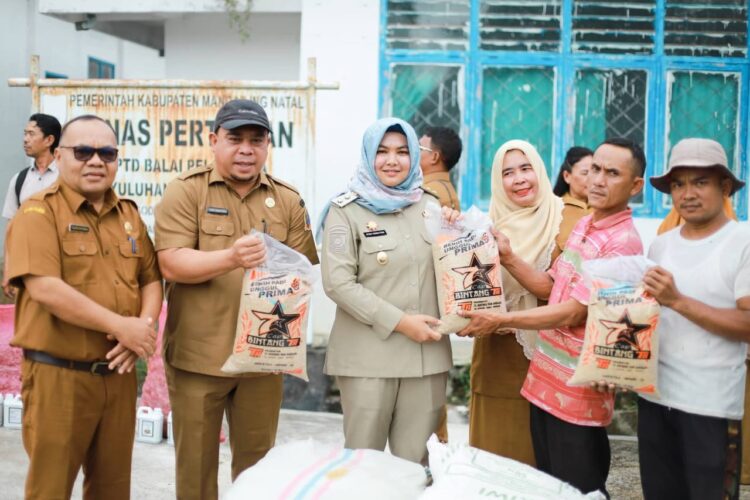 Wabup Madina Salurkan Benih Cabai Dan Padi kepada Poktan