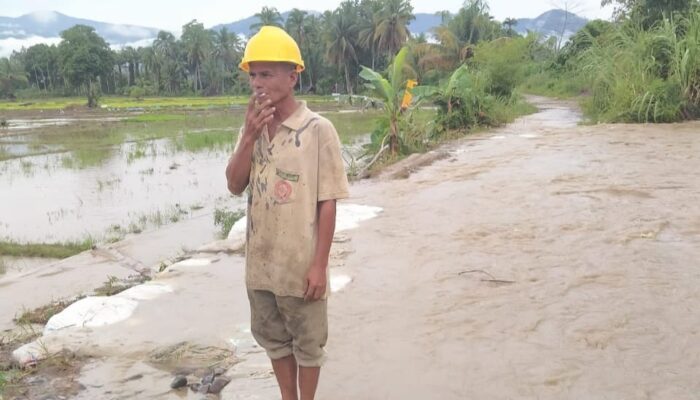 Tiga Tanggul Di Siabu Harus Segera Diperbaiki, Tuntutan Petani Kepada Bupati Madina