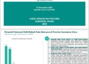 Penyakit Kulit Dan ISPA Dominasi Kasus Kesehatan Pascabencana Di Sumut