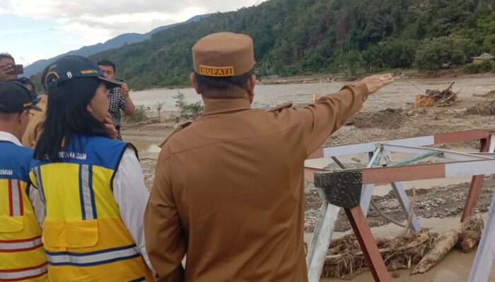 Pemerintah Akan Bangun Jembatan Rangka Baja Permanen Di Agara