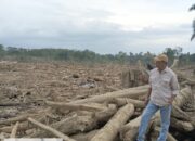 Lengkaplah Penderitaan Aceh Tamiang Dengan Musibah Bencana Banjir Bandang