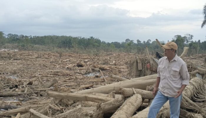 Lengkaplah Penderitaan Aceh Tamiang Dengan Musibah Bencana Banjir Bandang