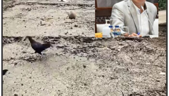 Presiden Instruksikan KDh Awasi Pembalakan Hutan, Bupati Tapsel Sudah Lakukan