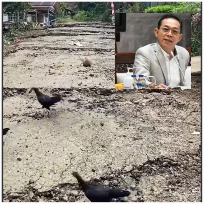 Presiden Instruksikan KDh Awasi Pembalakan Hutan, Bupati Tapsel Sudah Lakukan