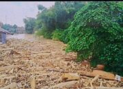 Ribuan Kubik Kayu Banjir Kembang Tanjong Menghilang