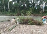 Terlalu Lama Menunggu, Warga Petani Tiga Desa Gotong Royong Perbaiki Tanggul Yang Rusak