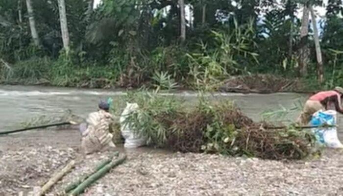 Terlalu Lama Menunggu, Warga Petani Tiga Desa Gotong Royong Perbaiki Tanggul Yang Rusak