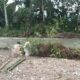 Terlalu Lama Menunggu, Warga Petani Tiga Desa Gotong Royong Perbaiki Tanggul Yang Rusak