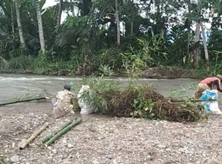 Terlalu Lama Menunggu, Warga Petani Tiga Desa Gotong Royong Perbaiki Tanggul Yang Rusak