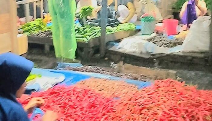 Jelang Nataru, Sembako Panyabungan Stabil