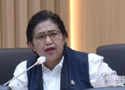 Irma Suryani Kritik Usulan Sopir Mobil MBG Pakai Kostum Power Rangers