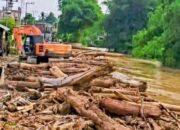 Manusia Bermental Rayap Di Balik Kayu Hilang Di Kembang Tanjong