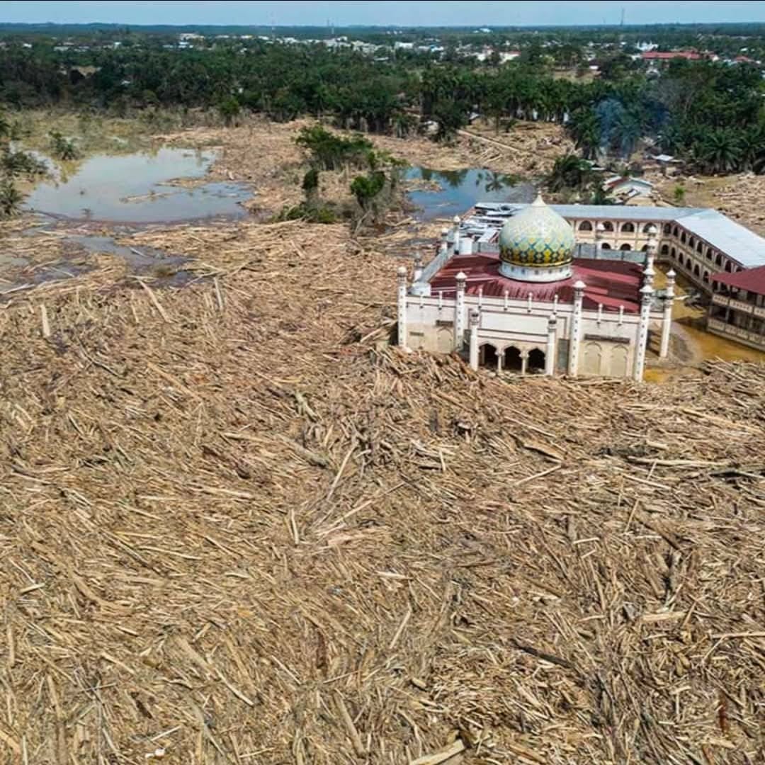 Simfoni Pilu Birokrasi Bencana Sumatra