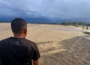 89.582 Lahan Sawah Di Aceh Terdampak Banjir, Distanbun Upayakan Rehabilitasi Dan Bantuan