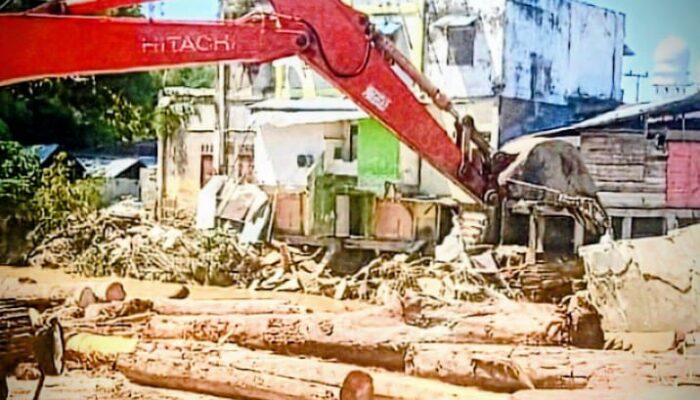 Jejak Kayu Hilang Di Kembang Tanjong