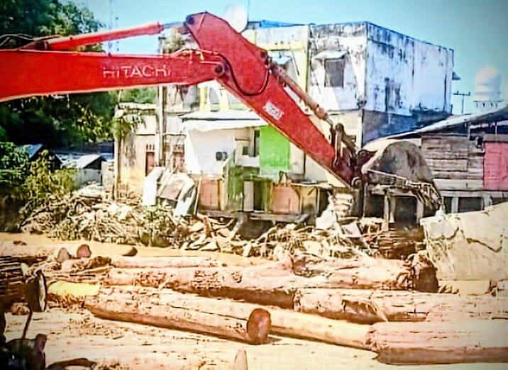 Jejak Kayu Hilang Di Kembang Tanjong