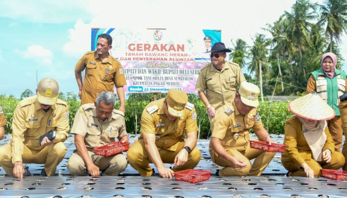 Gerakan Tanam Bawang Merah, Asri Ludin Tambunan: Stabilitas Harga Pangan Terjaga Agar Tidak Memberatkan Masyarakat